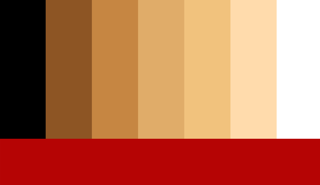 A palette of vertical bars depicting skins tones from black to white with a horizontal red bar at the bottom, created by Kal Sabir.